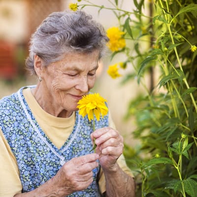 Senior woman enjoying a flower in a garden