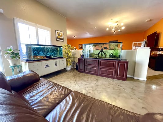 Indoor lounge area with two large aquariums and a leather sofa