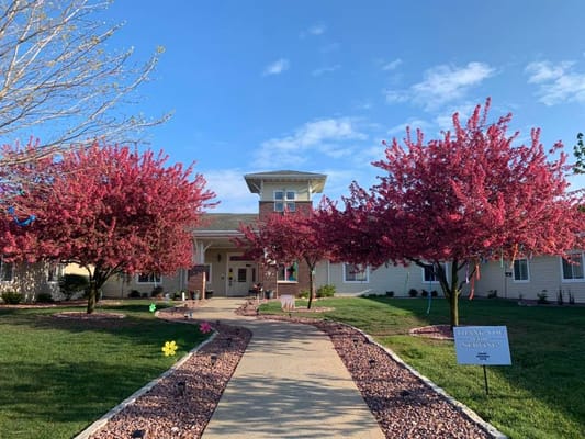 Exterior view of Arbor Springs with flowering trees