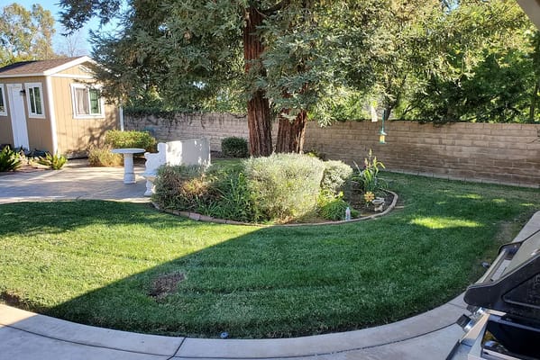 Well-maintained garden area with trees and greenery