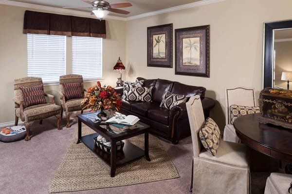 Well-furnished interior of a cozy living room