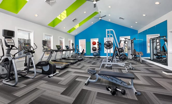 Modern gym with cardio machines and weights