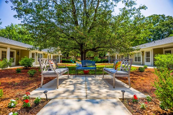 Outdoor seating area with a large tree and benches