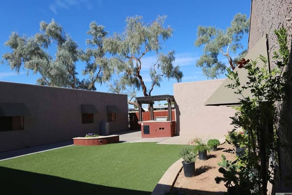 Outdoor courtyard with trees and seating area