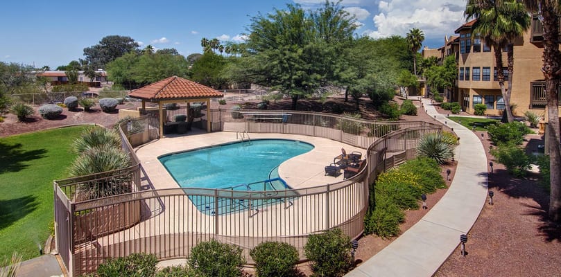 Aerial view of the pool area with lounge chairs and landscaping.