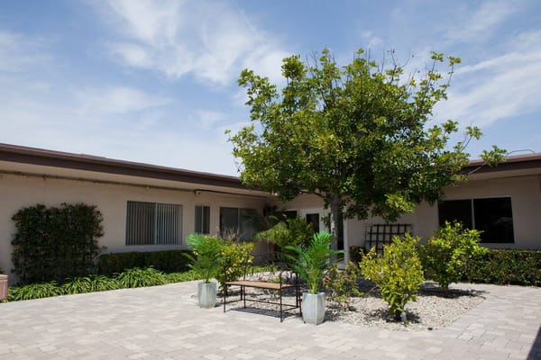 Outdoor area with trees and seating at the facility
