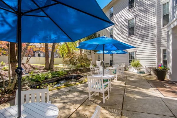 Outdoor seating area with blue umbrellas and greenery