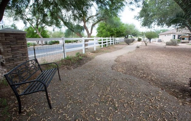 Pathway in a landscaped outdoor space