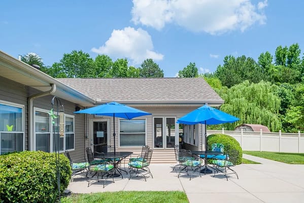 Sunny outdoor seating area with blue umbrellas