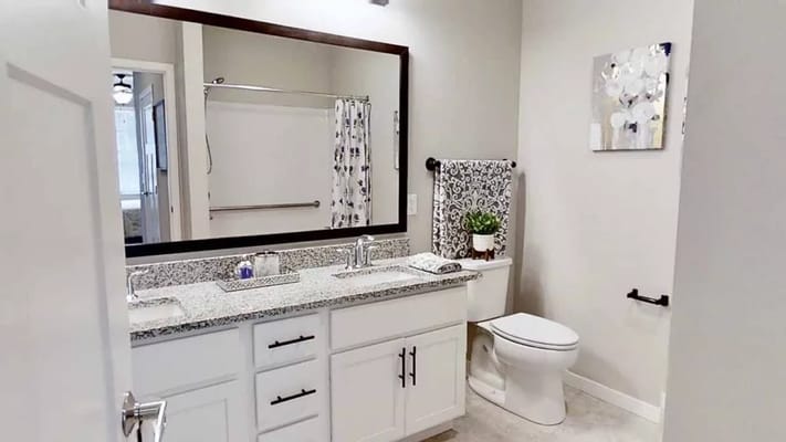 Stylish bathroom with double sinks and decorative elements.