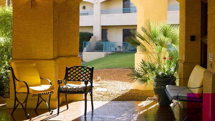 Outdoor seating area with chairs and plants