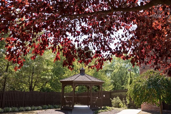 Wooden gazebo surrounded by vibrant red leaves