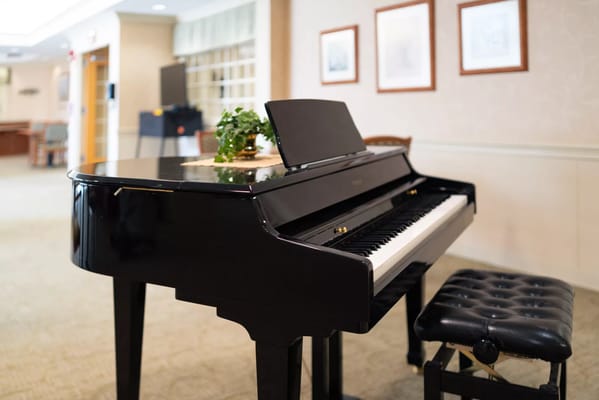 A black piano in a cozy indoor setting