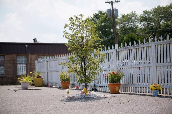 A small outdoor garden area with a tree and flowers