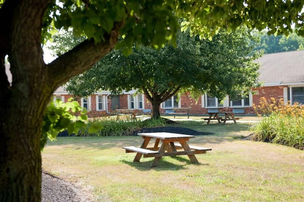 Outdoor picnic area with tables and greenery