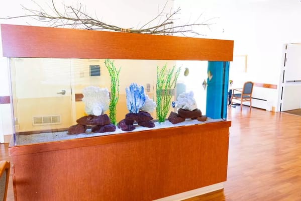 Fish tank in a common area of the facility