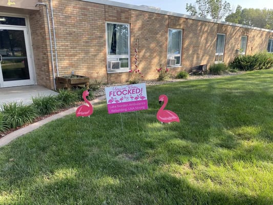 A sign in a garden area with flamingo decorations