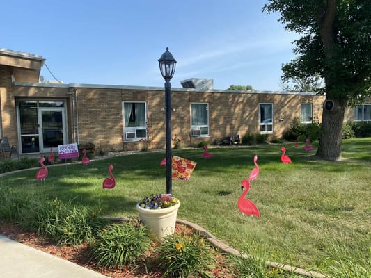 Outdoor area with pink flamingo decorations