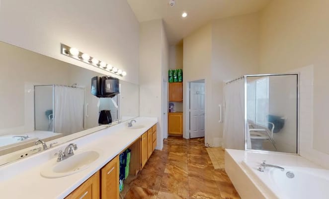 Bright bathroom with large tub and vanity