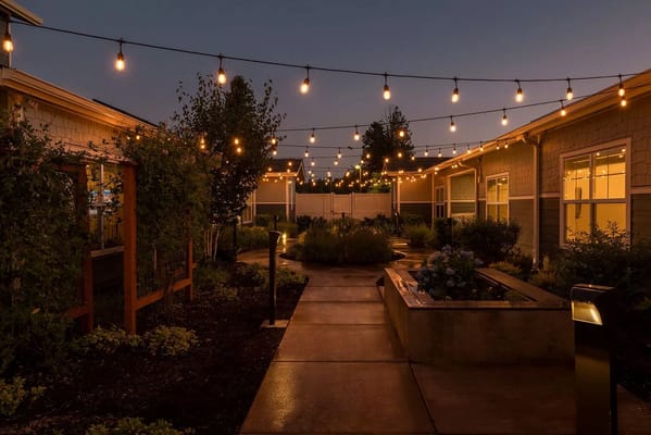 Beautifully lit garden area at dusk