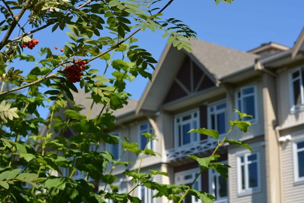 Close-up of foliage with facility building in background