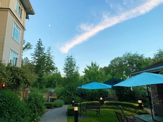 Outdoor garden area with seating and umbrellas