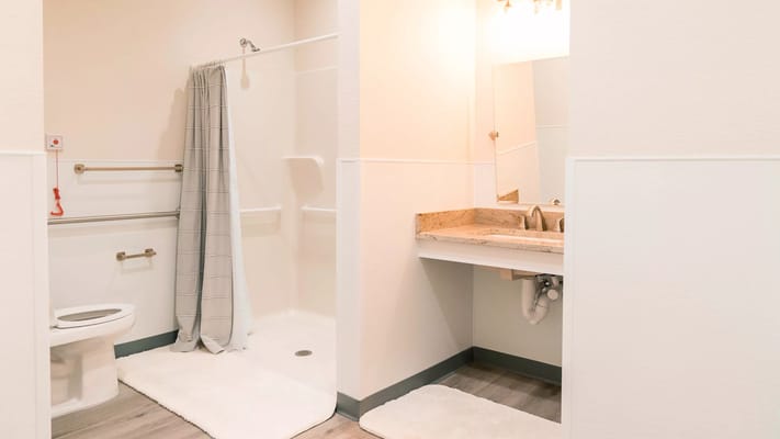 Spacious bathroom with grab bars and a large mirror