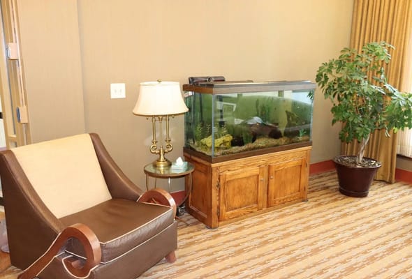 Cozy seating area with fish tank and plant