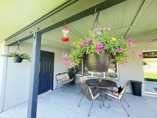 Colorful flower pots on a shaded outdoor patio