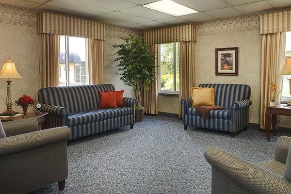 Cozy interior seating area with patterned sofas