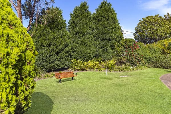 Peaceful outdoor garden area with a bench
