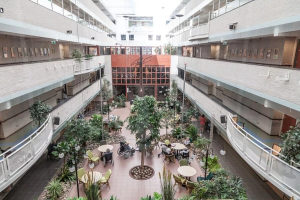 View of a bright, open interior space with plants and seating