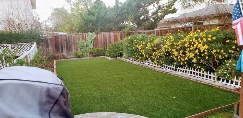 Well-maintained outdoor garden area with green lawn and flowers