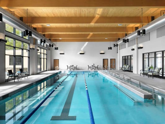 Indoor swimming pool with natural light and seating