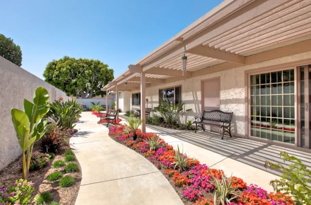 Pathway through a vibrant landscaped outdoor space