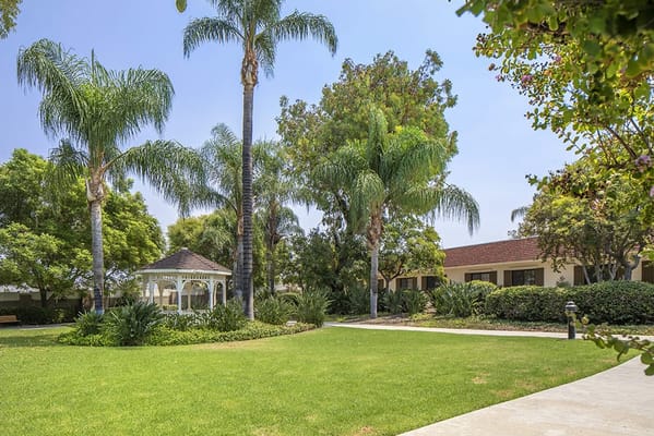 Outdoor garden area with gazebo and palm trees