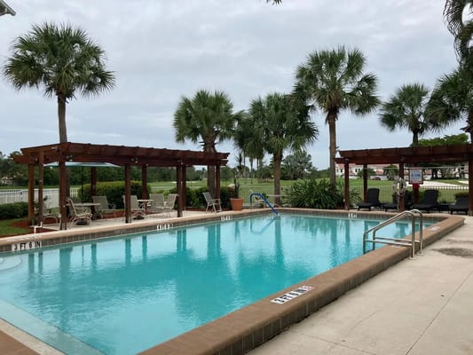 Swimming pool surrounded by palm trees and lounge chairs