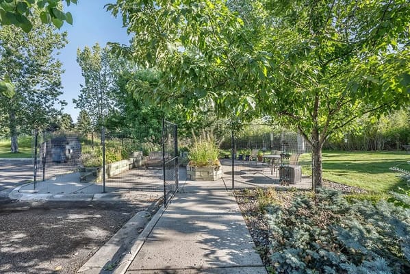 Pathway in a landscaped outdoor space with seating