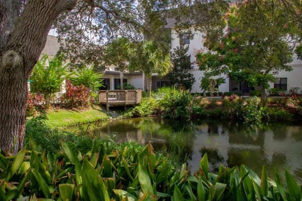 Lush outdoor space with a pond and walkway