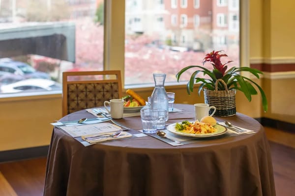 A dining table with a meal, drinks, and a plant in a well-lit area.