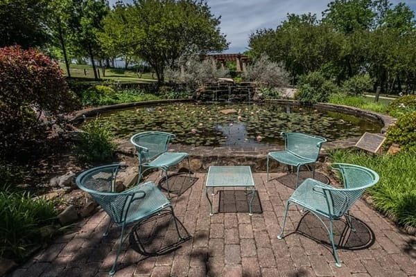 Outdoor seating area by a serene pond
