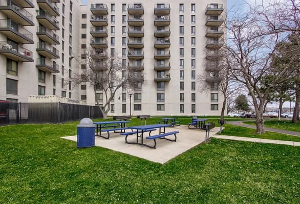 Outdoor picnic area with benches and grass