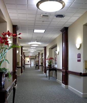 Well-lit hallway with decorative tables and plants