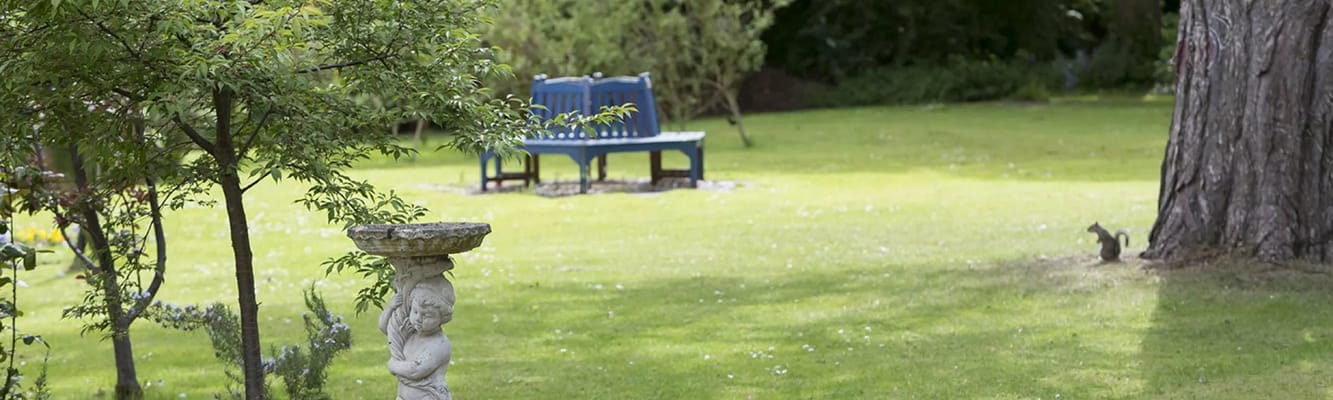 Well-kept garden with seating area and greenery
