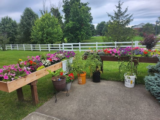 Colorful flower boxes in an outdoor garden space