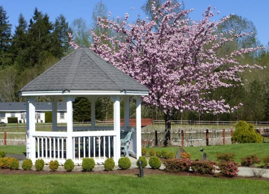 Outdoor gazebo surrounded by blooming trees and landscaping