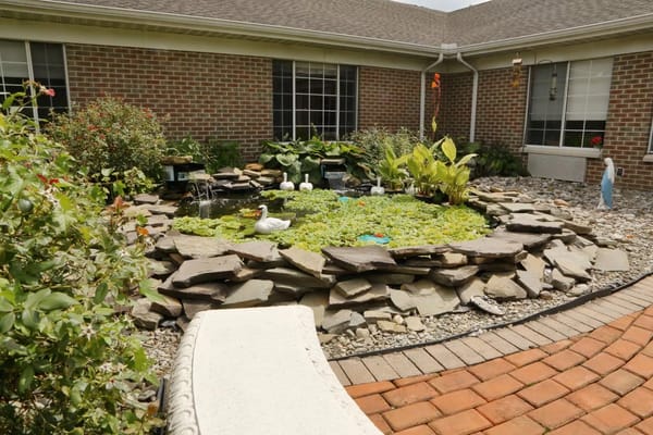 Beautiful garden pond with lily pads and ducks