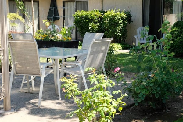 Table and chairs on an outdoor patio surrounded by greenery