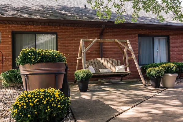 Outdoor swing and potted plants in a serene setting