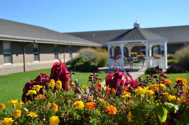 Colorful flowers in the foreground with a gazebo in the background